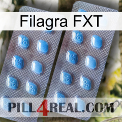 Filagra FXT viagra4